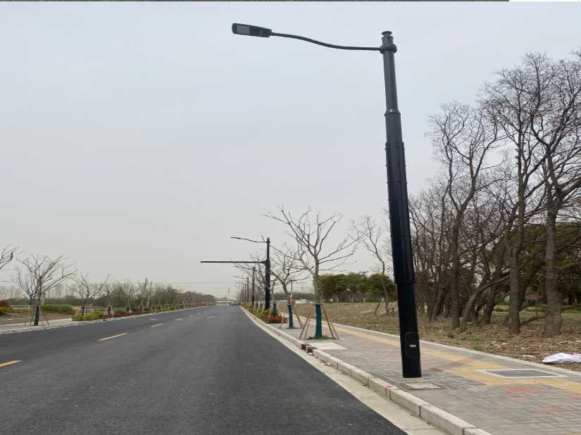莲湖区上海综合杆 太阳能路灯工程